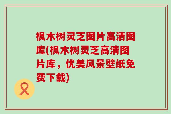 枫木树灵芝图片高清图库(枫木树灵芝高清图片库，优美风景壁纸免费下载)