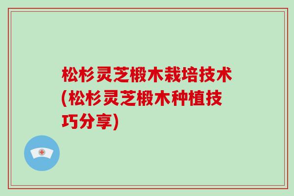 松杉灵芝椴木栽培技术(松杉灵芝椴木种植技巧分享)