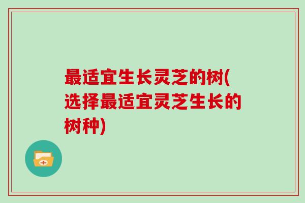 适宜生长灵芝的树(选择适宜灵芝生长的树种)