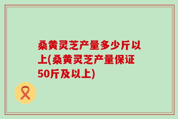 桑黄灵芝产量多少斤以上(桑黄灵芝产量保证50斤及以上)