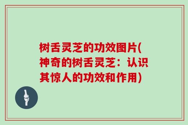 树舌灵芝的功效图片(神奇的树舌灵芝：认识其惊人的功效和作用)