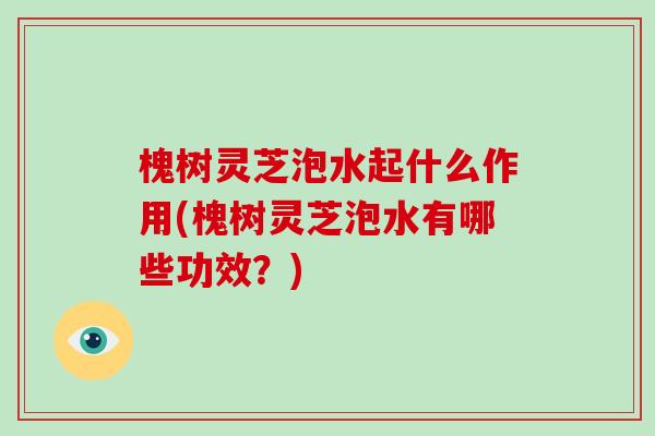 槐树灵芝泡水起什么作用(槐树灵芝泡水有哪些功效？)