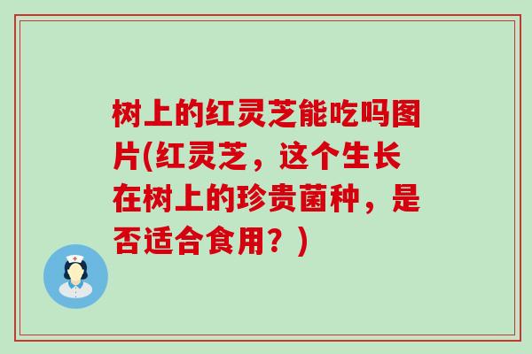 树上的红灵芝能吃吗图片(红灵芝，这个生长在树上的珍贵菌种，是否适合食用？)