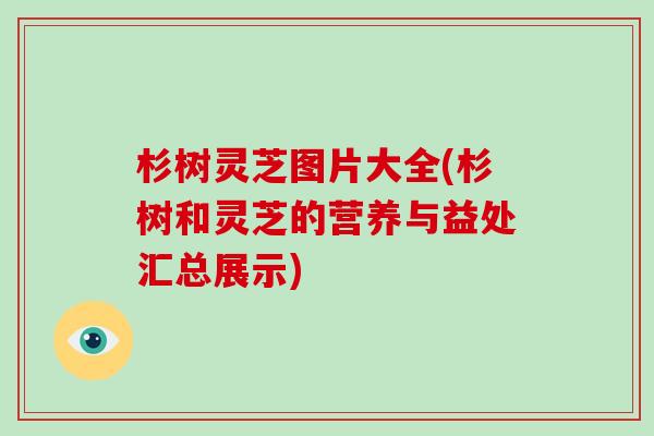 杉树灵芝图片大全(杉树和灵芝的营养与益处汇总展示)