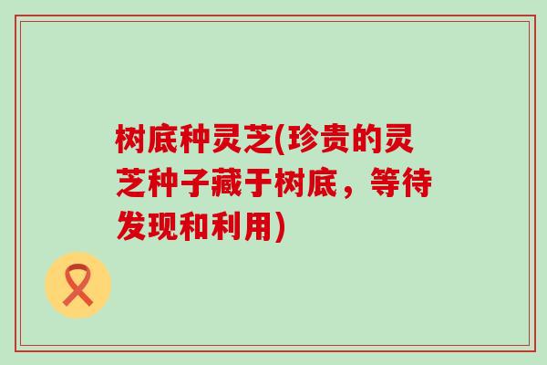 树底种灵芝(珍贵的灵芝种子藏于树底，等待发现和利用)