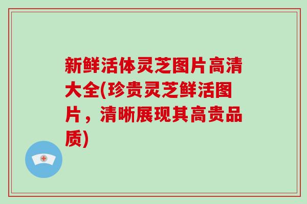 新鲜活体灵芝图片高清大全(珍贵灵芝鲜活图片，清晰展现其高贵品质)