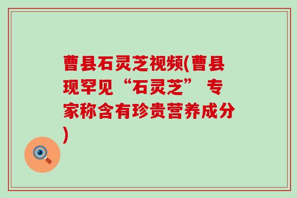 曹县石灵芝视频(曹县现罕见“石灵芝” 专家称含有珍贵营养成分)