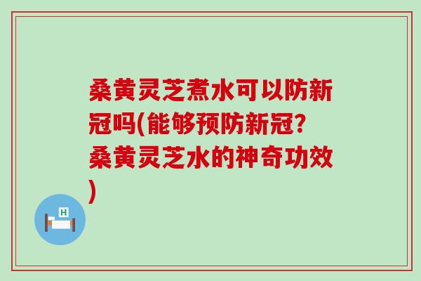 桑黄灵芝煮水可以防新冠吗(能够新冠？桑黄灵芝水的神奇功效)