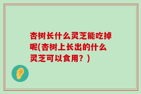 杏树长什么灵芝能吃掉呢(杏树上长出的什么灵芝可以食用？)