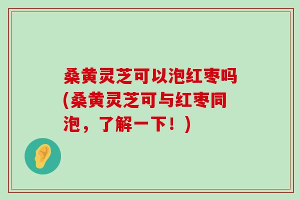 桑黄灵芝可以泡红枣吗(桑黄灵芝可与红枣同泡，了解一下！)