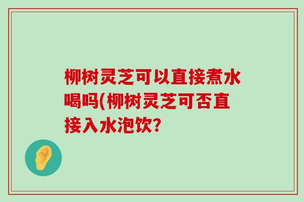 柳树灵芝可以直接煮水喝吗(柳树灵芝可否直接入水泡饮？