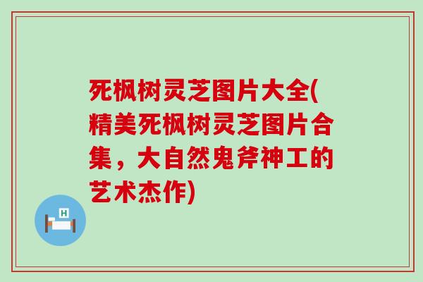 死枫树灵芝图片大全(精美死枫树灵芝图片合集，大自然鬼斧神工的艺术杰作)