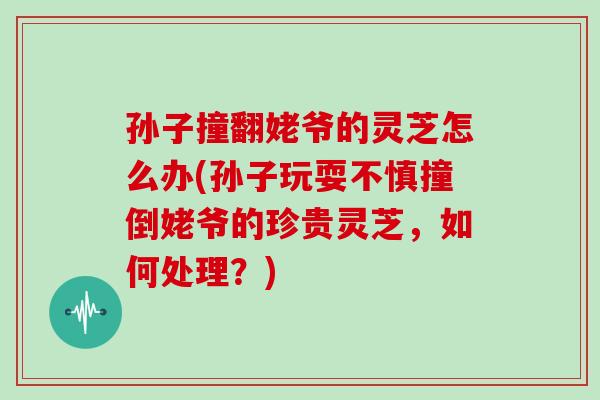 孙子撞翻姥爷的灵芝怎么办(孙子玩耍不慎撞倒姥爷的珍贵灵芝，如何处理？)