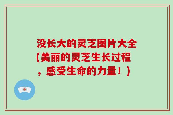 没长大的灵芝图片大全(美丽的灵芝生长过程，感受生命的力量！)