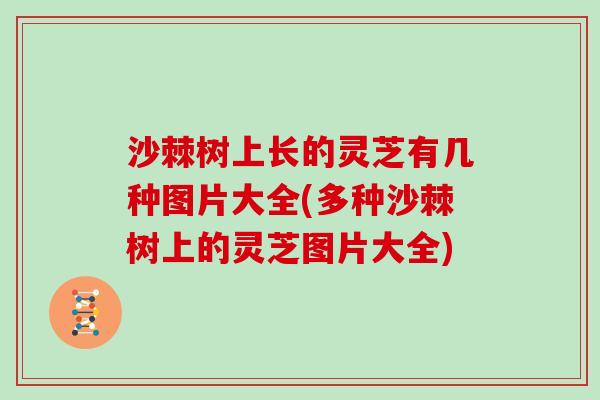 沙棘树上长的灵芝有几种图片大全(多种沙棘树上的灵芝图片大全)