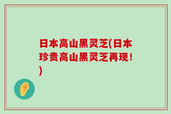 日本高山黑灵芝(日本珍贵高山黑灵芝再现！)