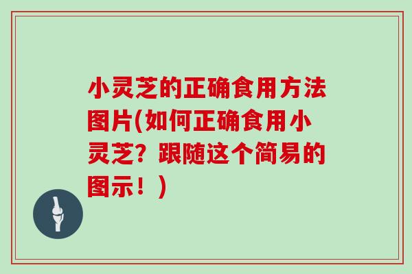 小灵芝的正确食用方法图片(如何正确食用小灵芝？跟随这个简易的图示！)