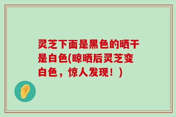 灵芝下面是黑色的晒干是白色(晾晒后灵芝变白色，惊人发现！)