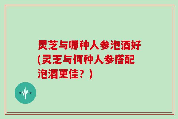 灵芝与哪种人参泡酒好(灵芝与何种人参搭配泡酒更佳？)