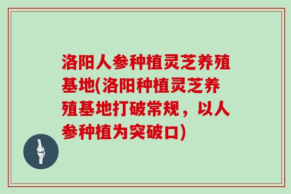 洛阳人参种植灵芝养殖基地(洛阳种植灵芝养殖基地打破常规，以人参种植为突破口)