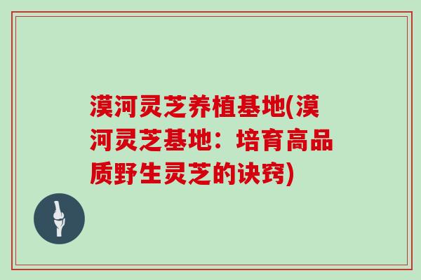 漠河灵芝养植基地(漠河灵芝基地：培育高品质野生灵芝的诀窍)