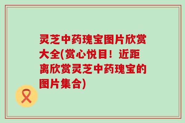 灵芝瑰宝图片欣赏大全(赏心悦目！近距离欣赏灵芝瑰宝的图片集合)