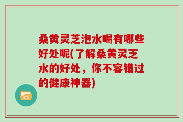 桑黄灵芝泡水喝有哪些好处呢(了解桑黄灵芝水的好处，你不容错过的健康神器)