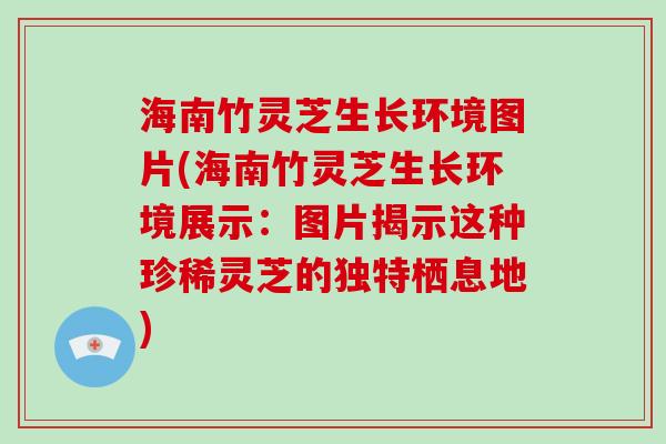 海南竹灵芝生长环境图片(海南竹灵芝生长环境展示：图片揭示这种珍稀灵芝的独特栖息地)