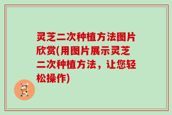 灵芝二次种植方法图片欣赏(用图片展示灵芝二次种植方法，让您轻松操作)