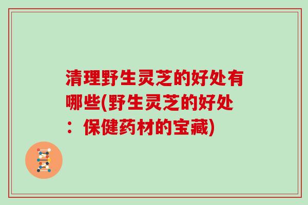 清理野生灵芝的好处有哪些(野生灵芝的好处：保健药材的宝藏)