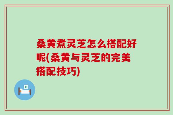 桑黄煮灵芝怎么搭配好呢(桑黄与灵芝的完美搭配技巧)