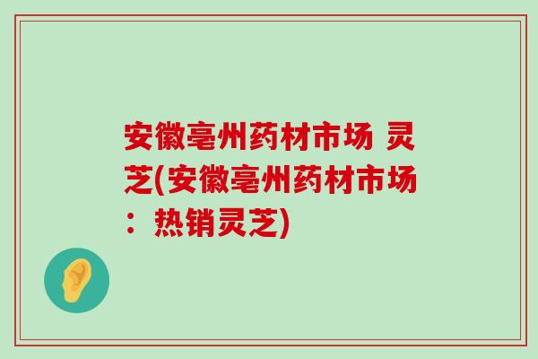 安徽亳州药材市场 灵芝(安徽亳州药材市场：热销灵芝)