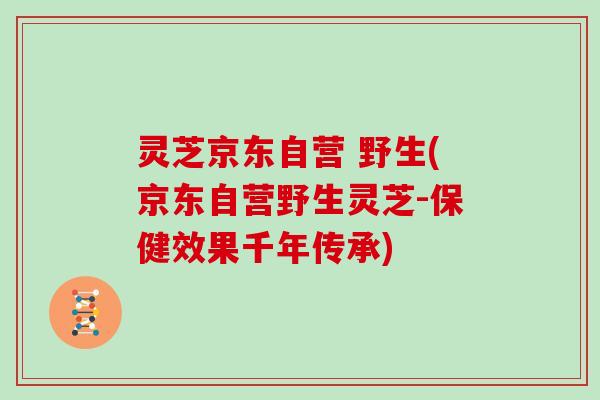 灵芝京东自营 野生(京东自营野生灵芝-保健效果千年传承)