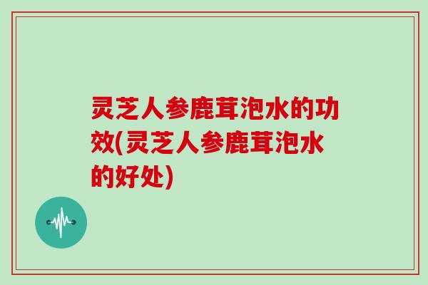 灵芝人参鹿茸泡水的功效(灵芝人参鹿茸泡水的好处)