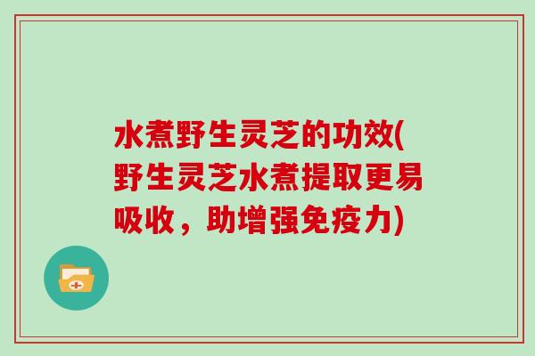 水煮野生灵芝的功效(野生灵芝水煮提取更易吸收，助增强免疫力)