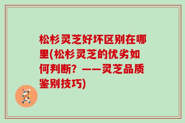 松杉灵芝好坏区别在哪里(松杉灵芝的优劣如何判断？——灵芝品质鉴别技巧)