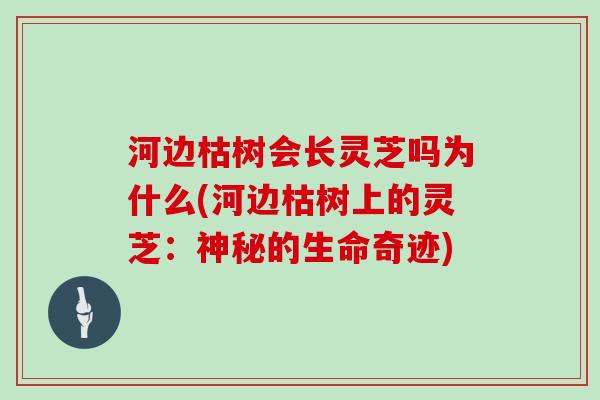 河边枯树会长灵芝吗为什么(河边枯树上的灵芝：神秘的生命奇迹)