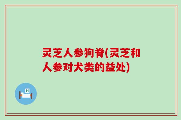 灵芝人参狗脊(灵芝和人参对犬类的益处)