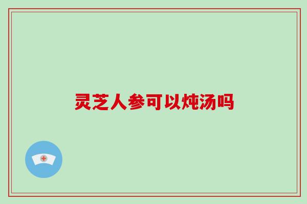 灵芝人参可以炖汤吗