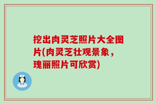 挖出肉灵芝照片大全图片(肉灵芝壮观景象，瑰丽照片可欣赏)