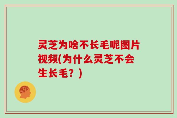 灵芝为啥不长毛呢图片视频(为什么灵芝不会生长毛？)