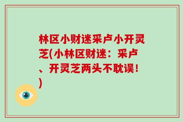 林区小财迷采卢小开灵芝(小林区财迷：采卢、开灵芝两头不耽误！)