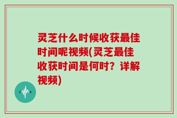 灵芝什么时候收获佳时间呢视频(灵芝佳收获时间是何时？详解视频)