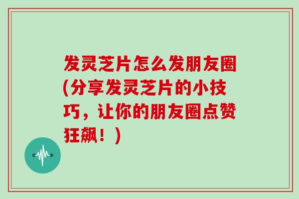 发灵芝片怎么发朋友圈(分享发灵芝片的小技巧，让你的朋友圈点赞狂飙！)