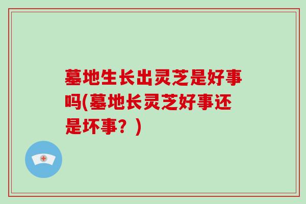 墓地生长出灵芝是好事吗(墓地长灵芝好事还是坏事？)