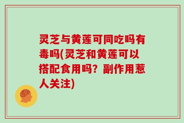 灵芝与黄莲可同吃吗有毒吗(灵芝和黄莲可以搭配食用吗？副作用惹人关注)