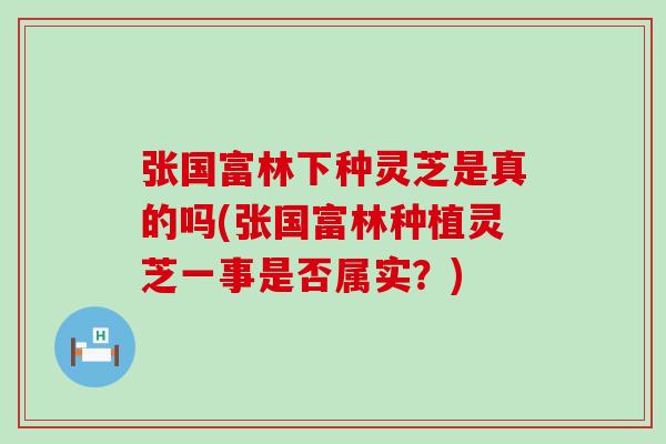 张国富林下种灵芝是真的吗(张国富林种植灵芝一事是否属实？)