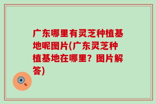 广东哪里有灵芝种植基地呢图片(广东灵芝种植基地在哪里？图片解答)