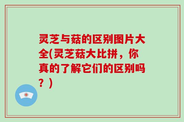 灵芝与菇的区别图片大全(灵芝菇大比拼，你真的了解它们的区别吗？)