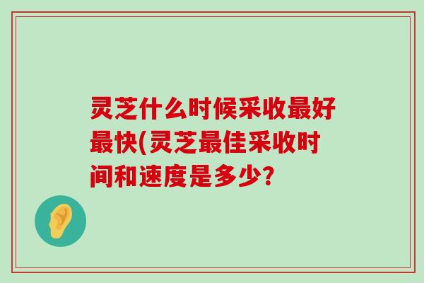 灵芝什么时候采收好快(灵芝佳采收时间和速度是多少？